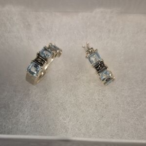 Elegant Silver .925 and Blue Gemstone Earrings